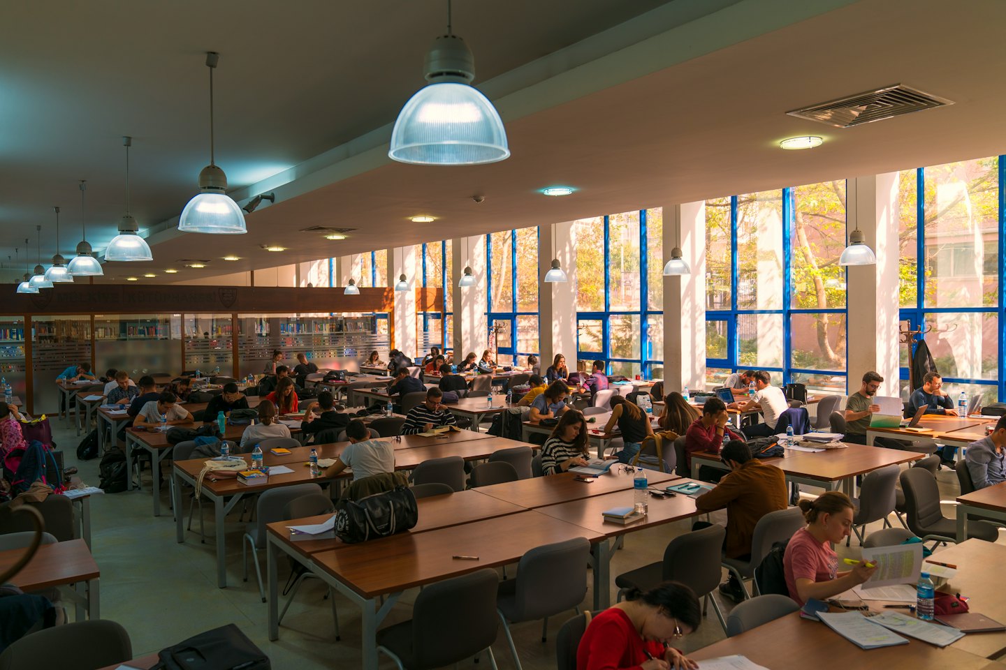 Studenci uczą się na laptopach przy drewnianych stołach w bibliotece.
